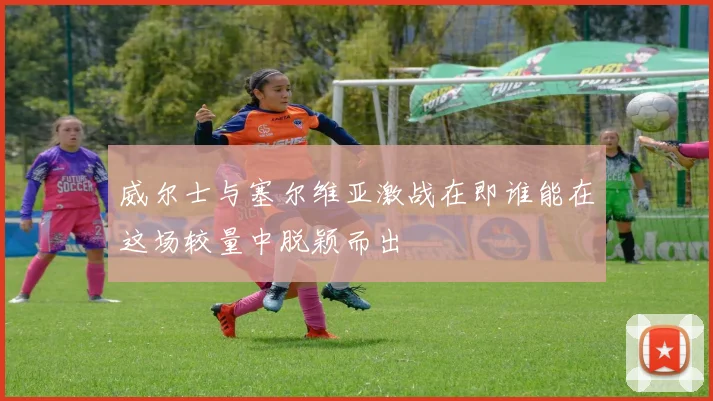 威尔士与塞尔维亚激战在即谁能在这场较量中脱颖而出