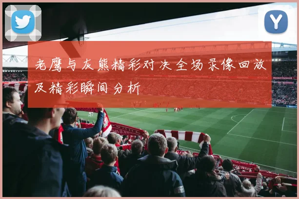 老鹰与灰熊精彩对决全场录像回放及精彩瞬间分析